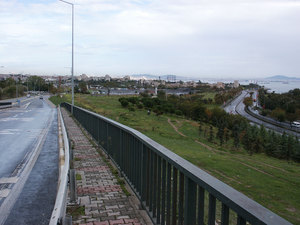 08.jpg