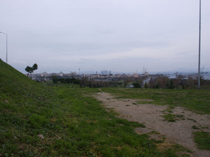 13.jpg