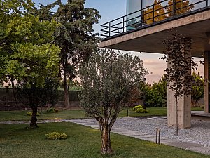 PIN_MERKO_PHOTOS-(8).jpg