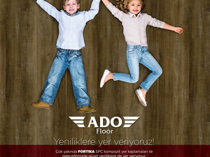 5-adopen.jpg