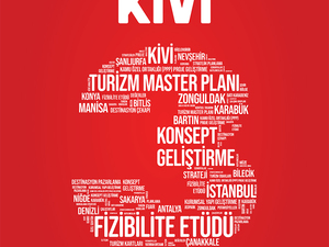 arkakapakici-kivi.jpg