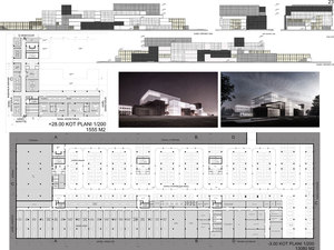 021-P6.jpg