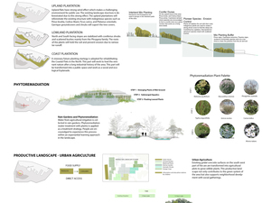 06 PLANTING-STRATEGY1