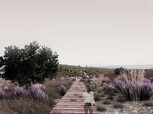 1. Ödül, Gelibolu Tarihi Alanı Yeni Şehitlik Tasarımları Fikir Projesi Yarışması 
