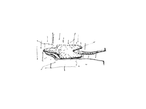 görsel1