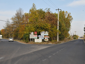 DSC_4591.jpg