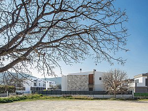 ZMY_4166-1.jpg