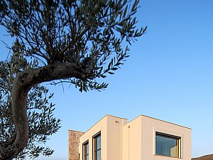ZMY_4337-1.jpg
